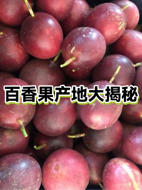 百香果哪里的产地最好缩略图