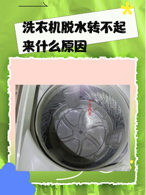 洗衣机脱水抖动太剧烈是什么原因游戏截图
