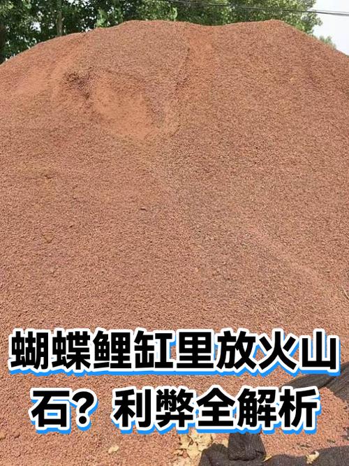 鱼缸为什么不建议放火山石缩略图