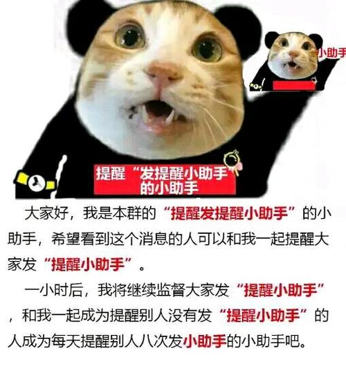 小红书上的表情包能添加到微信上缩略图