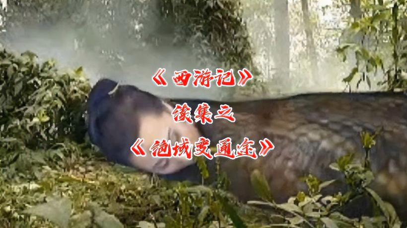 西游记续集第11集绝域变通途免费缩略图