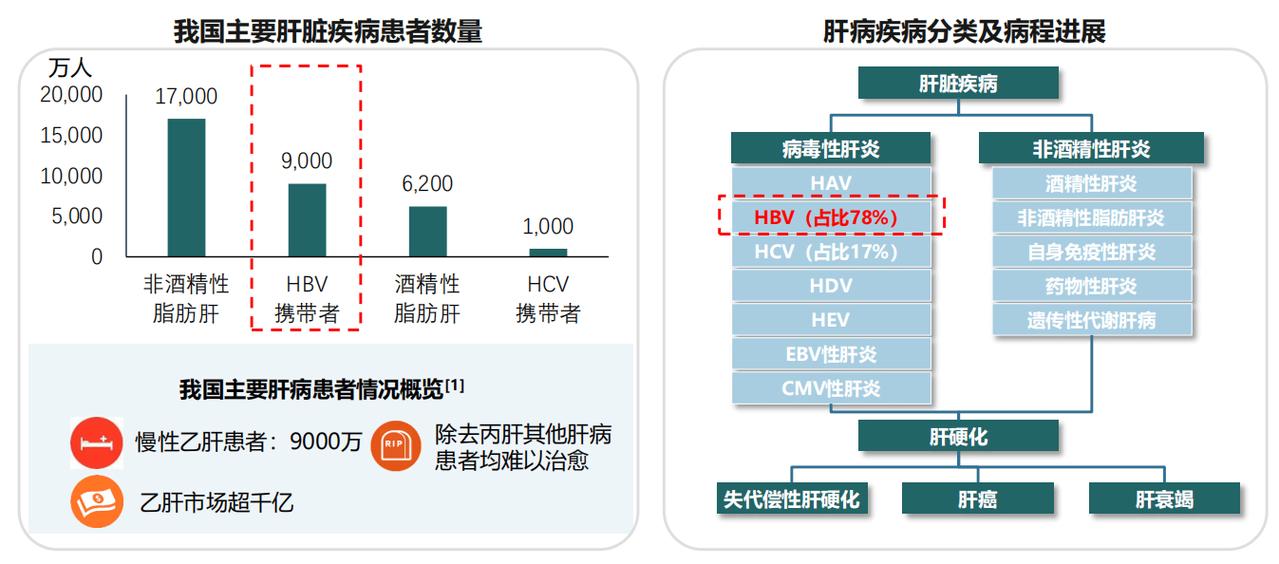 乙肝病毒体外两个月还存活吗图标