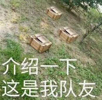 优秀的盒子精解说图标