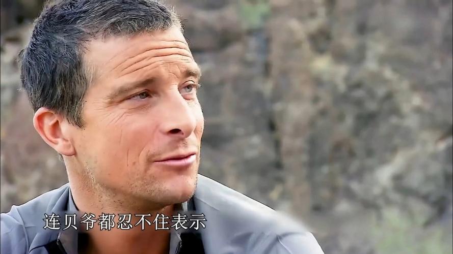 荒岛求生贝爷缩略图
