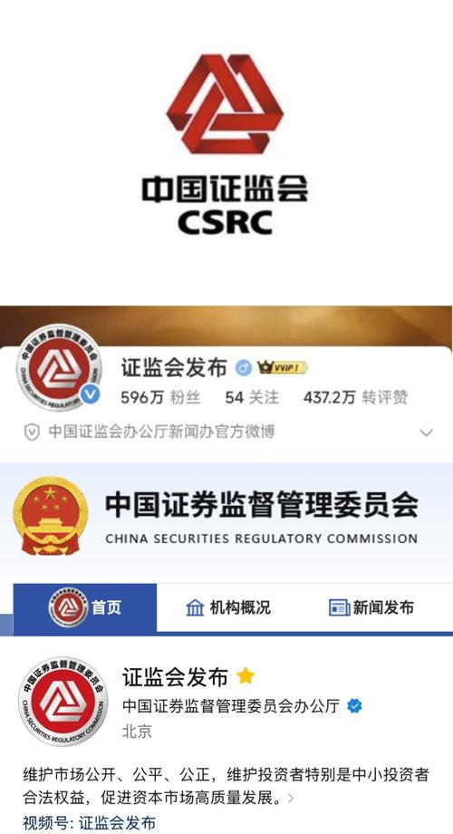 证监会官http://www.csrc.gov.cn缩略图