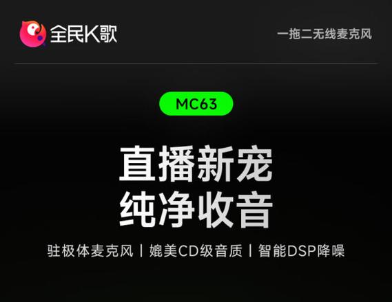 全民k歌手机麦克风使用方法图标