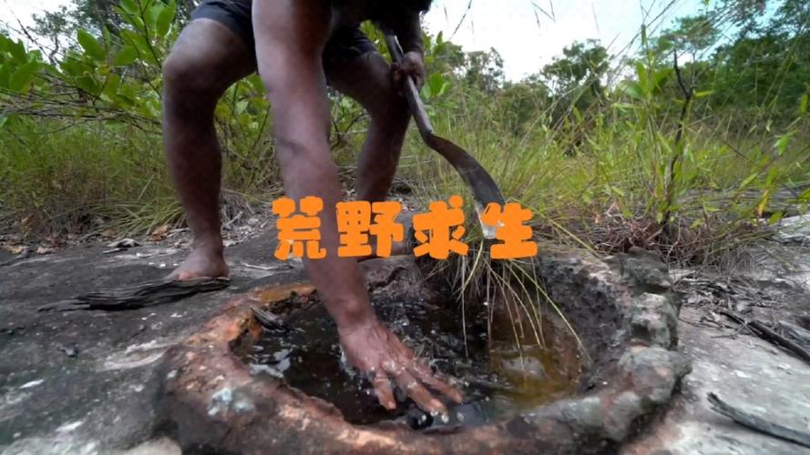 荒岛求生小哥专属逃生缩略图
