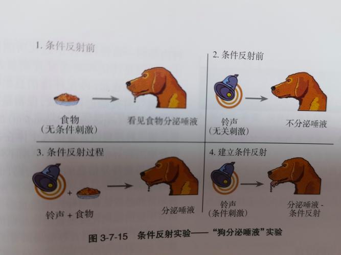 叫一声手机自动答应游戏截图