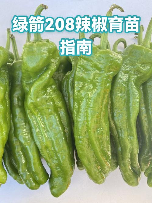绿箭口香糖不能和什么一起吃游戏截图