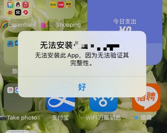 ipad不能下载软件的原因游戏截图