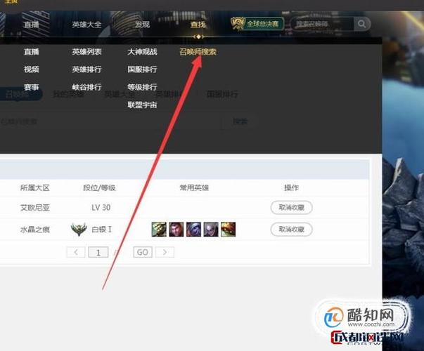 掌上英雄联盟战绩查询图标