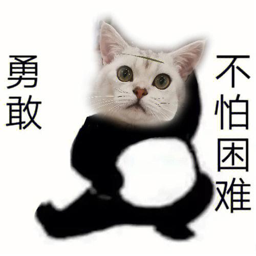 勇敢什么不怕困难表情包缩略图
