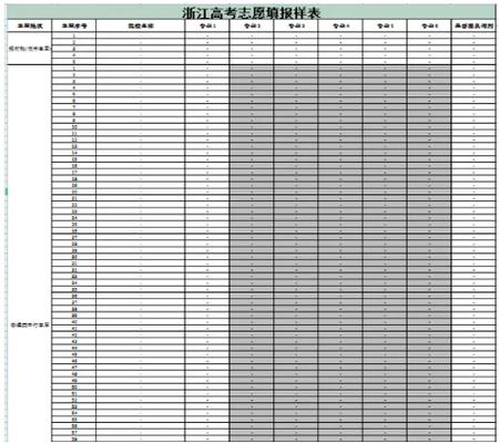 浙江高考80个志愿模板缩略图