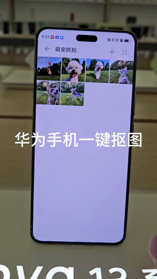 华为手机怎么拍图识字缩略图