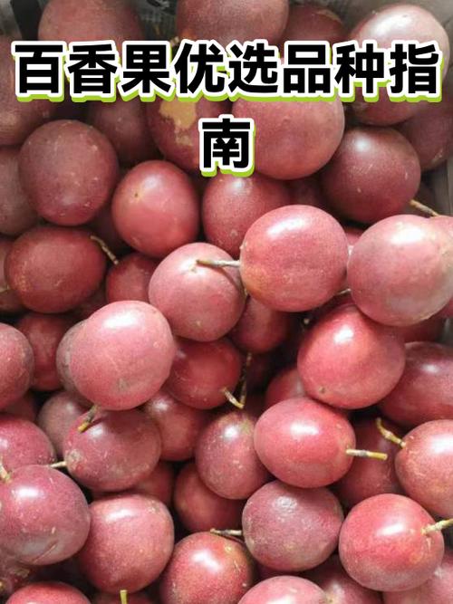 百香果10个顶级品种缩略图
