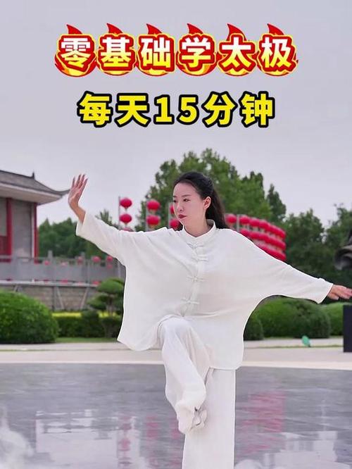 灵儿太极拳陈氏太极拳完整视频缩略图