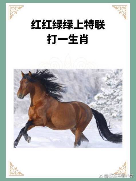 下午偏财运最旺的属相图标
