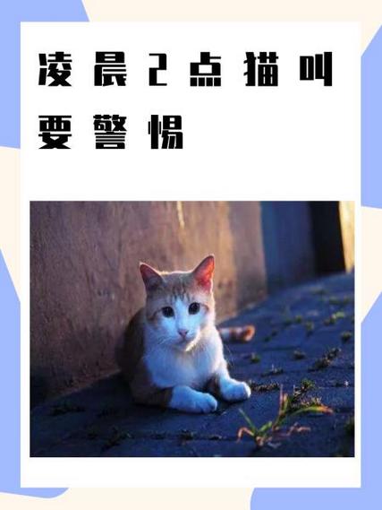 猫突然追着人叫要警惕图标
