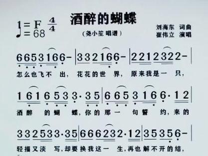思思演唱完整版酒醉的蝴蝶图标