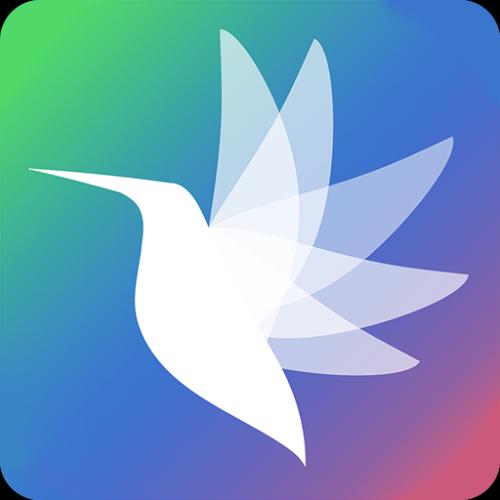 飞鸟分期app