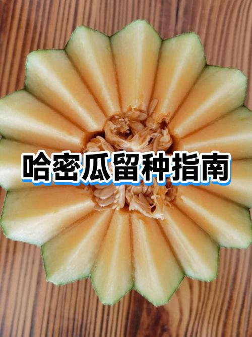 小孩吃西瓜好还是哈密瓜好图标