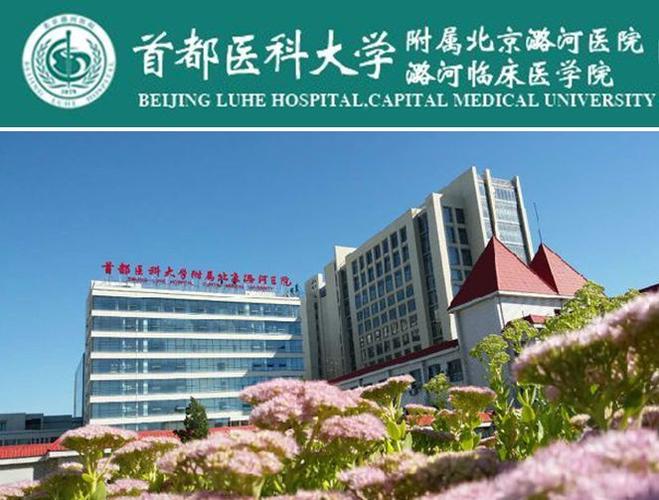 北京骨关节科哪个医院最好游戏截图