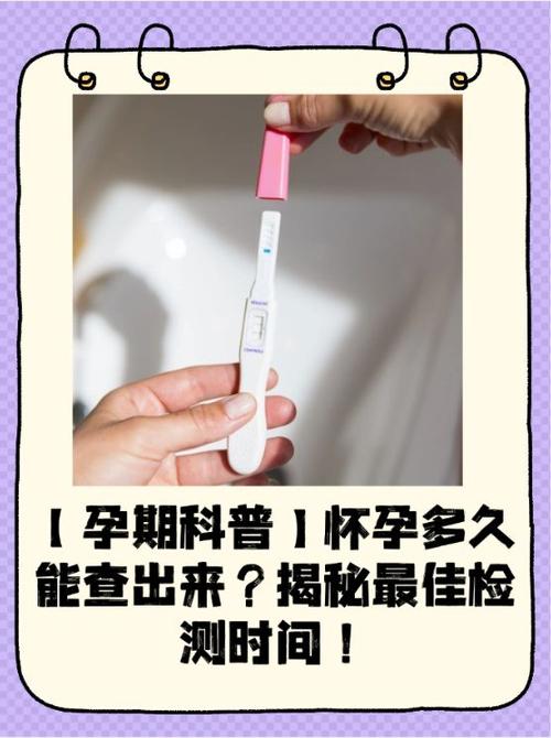 怎么知道自己怀孕了没有图标