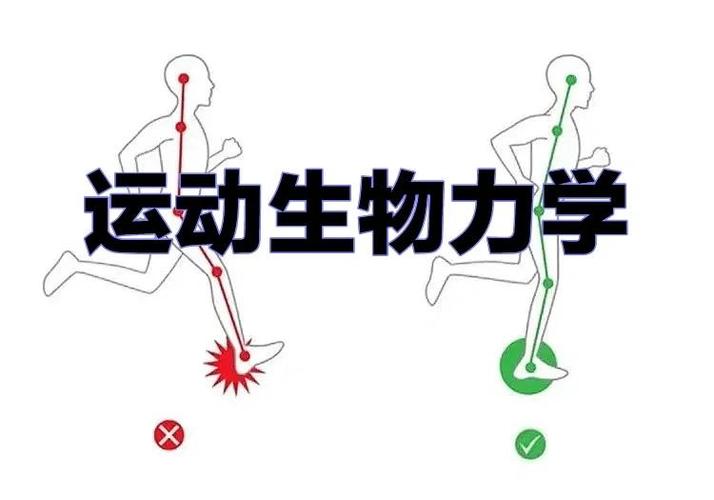 都市锻炼身体就变强的小说缩略图