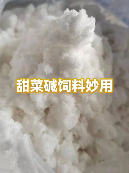 甜菜碱是酸性还是碱性图标