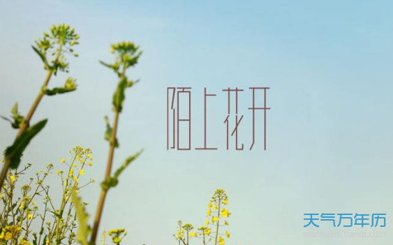 陌上花开暗示男人还是女人缩略图