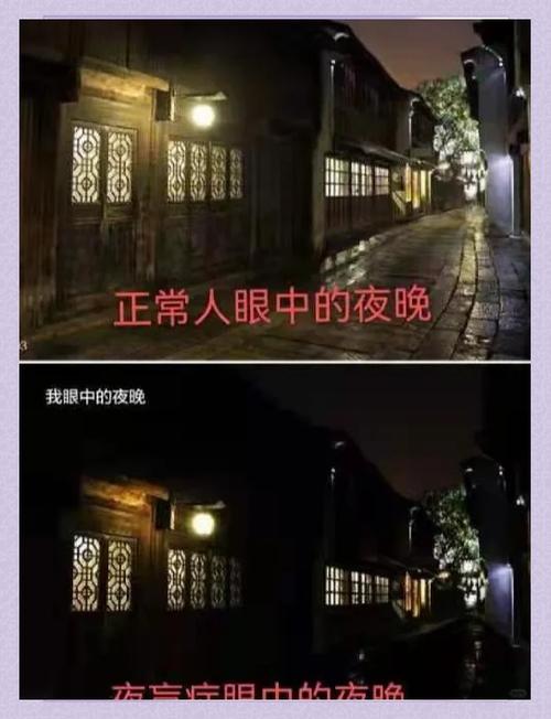 摄像头晚上有白色圆圈乱飞怎么回事缩略图