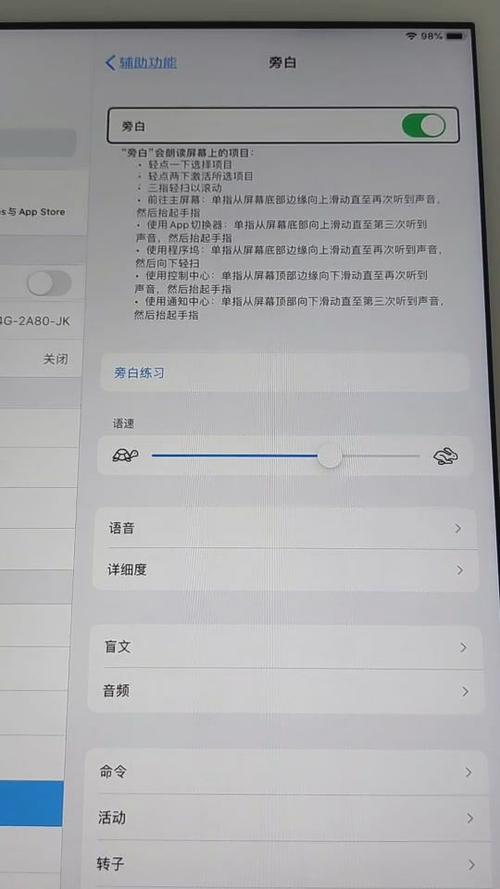 怎么关闭ipad旁白模式游戏截图