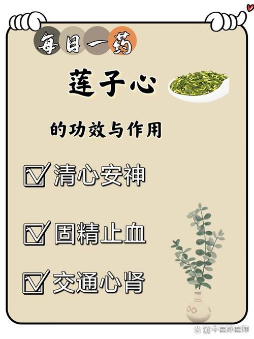 莲花的作用与功效缩略图