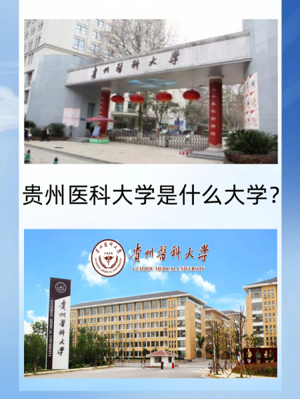 贵州医大档次鉴定器 游戏截图