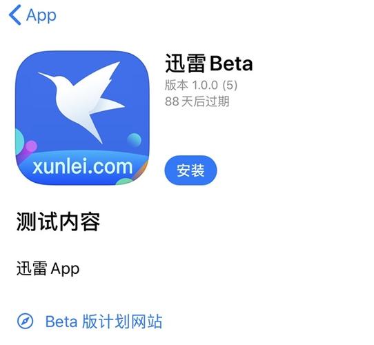 苹果迅雷ios版下载beta图标