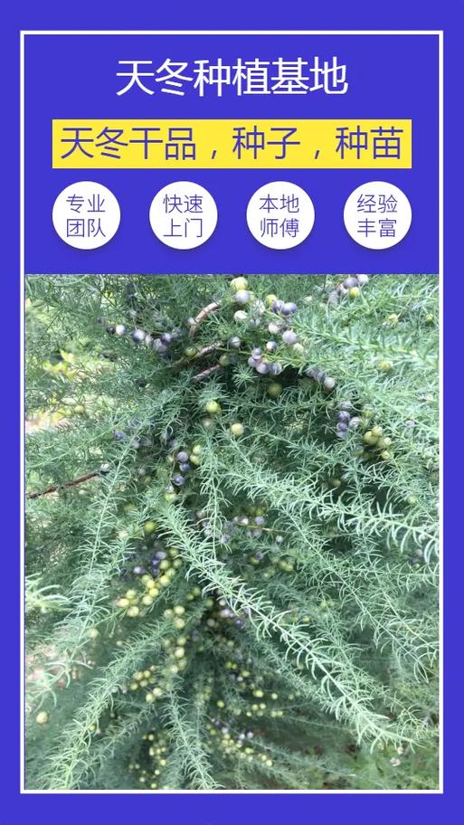 中国药材天地网价格查询官网图标