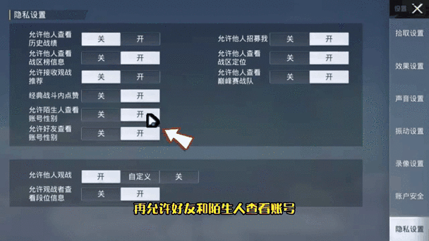 和平精英隐藏在线状态设置方法图标