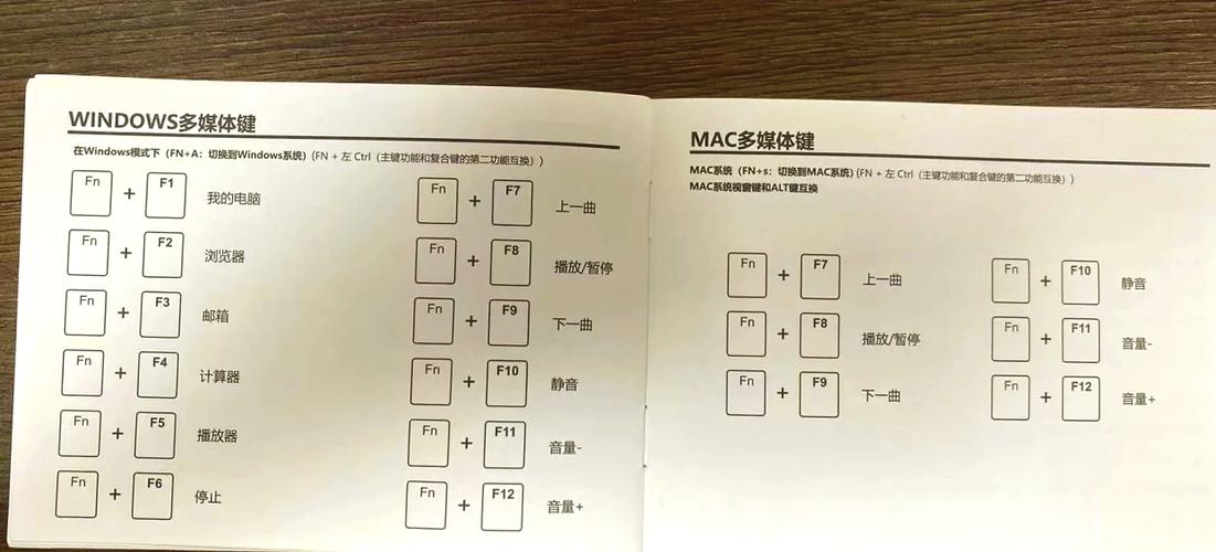 电脑上的键盘功能说明游戏截图