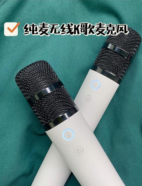 纯麦k歌无线麦克风效果图标
