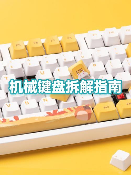 拆解机械键盘轴的好处图标