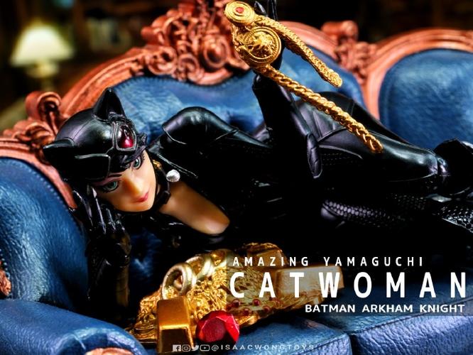 蝙蝠侠阿卡姆骑士救猫女谜语人任务缩略图
