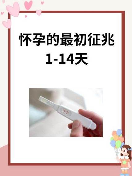 怀孕的最初征兆1-14天图标