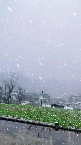 雪花雪花漫天飘视频缩略图