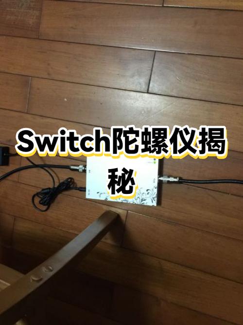 switch手柄亮的4个小灯图标