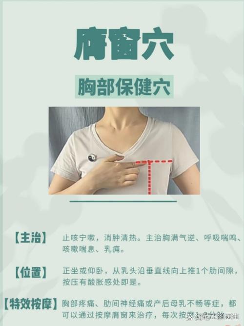 胸下面三角区中间叫什么位置缩略图