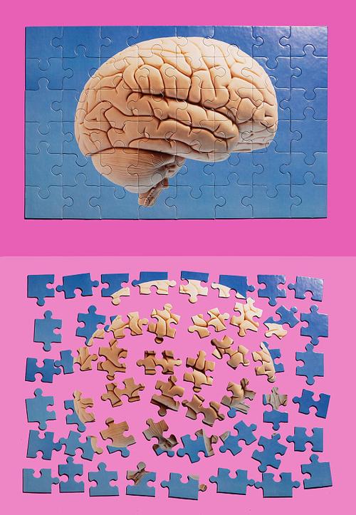 拼图有益于开发大脑吗游戏截图