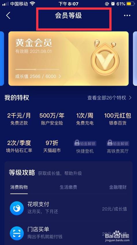 支付宝会员保级后是永久的吗缩略图