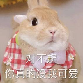 qq里一个兔子的表情包叫什么图标
