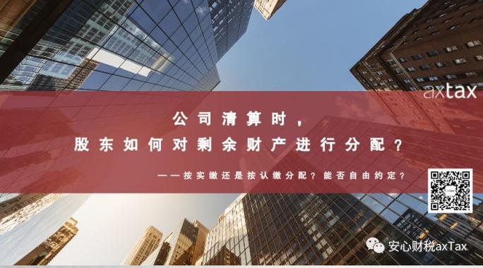 清算后剩余财产分配表怎么填截图