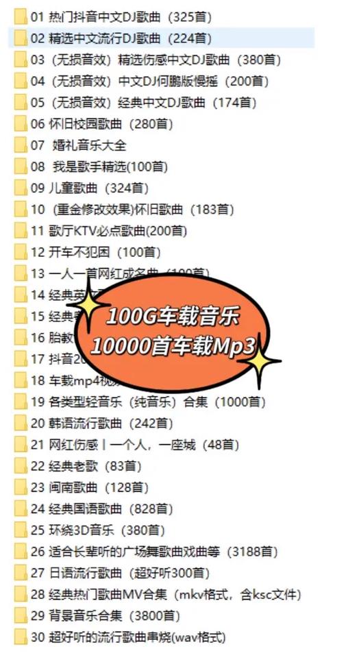 好听的车载音乐歌曲大全100首缩略图